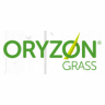 oryzon-grass